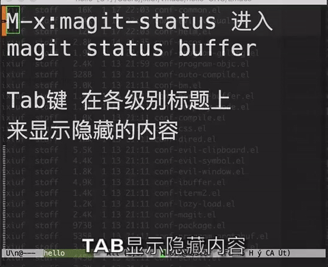 magit-status-tab.gif